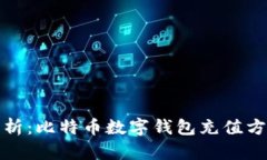 全方位解析：比特币数字钱包充值方法与技巧