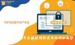 颠覆未来：揭开区块链创新项目的神秘面纱