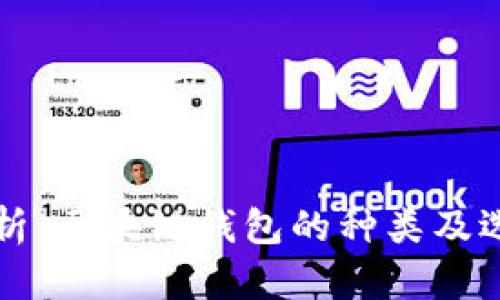 全面解析：区块链钱包的种类及选择指南