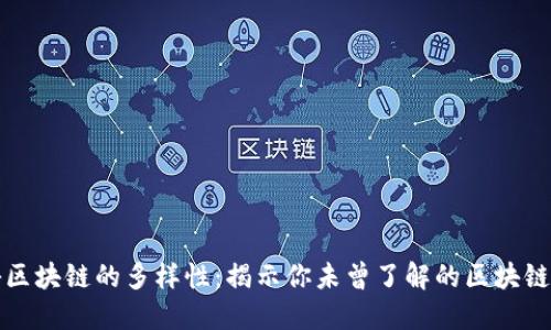 揭秘区块链的多样性：揭示你未曾了解的区块链类型