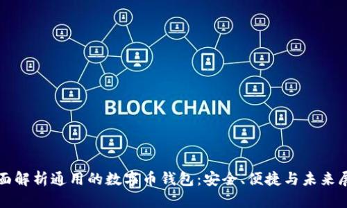 全面解析通用的数字币钱包：安全、便捷与未来展望