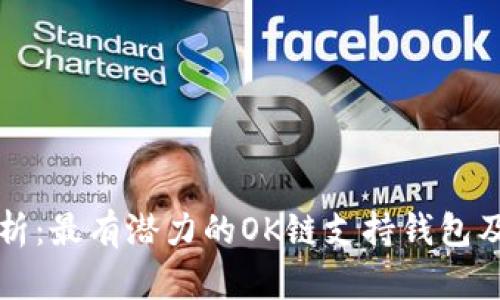 全面解析：最有潜力的OK链支持钱包及其功能