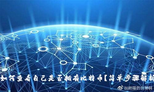 如何查看自己是否拥有比特币？简单步骤解析