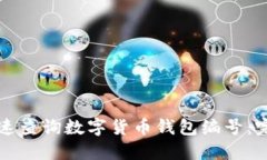 如何快速查询数字货币钱包编号：完整指南