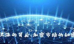 虚拟币价格上涨的背后：加密市场的秘密与投资