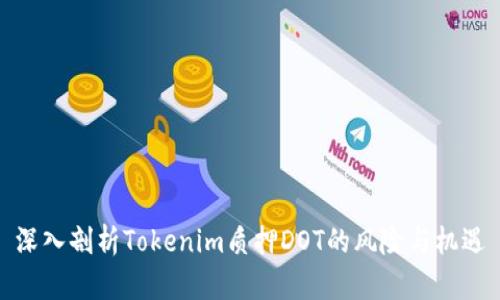 深入剖析Tokenim质押DOT的风险与机遇