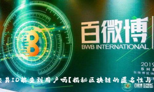 区块链交易ID能查到用户吗？揭秘区块链的匿名性与可追溯性