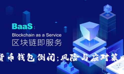数字货币钱包倒闭：风险与应对策略解析