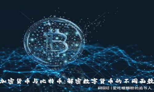 加密货币与比特币：解密数字货币的不同面貌
