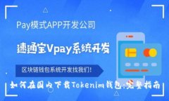 如何在国内下载Tokenim钱包：完整指南