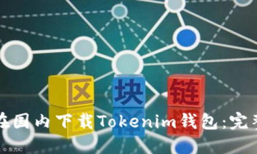 如何在国内下载Tokenim钱包：完整指南