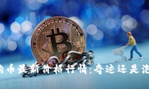狗狗币最新价格行情：奇迹还是泡沫？