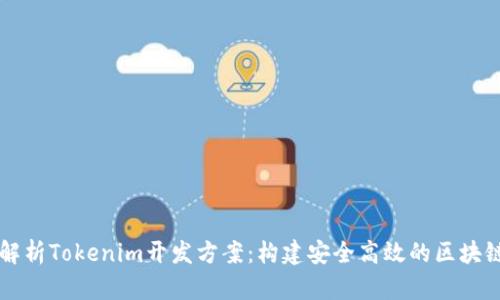 全面解析Tokenim开发方案：构建安全高效的区块链应用