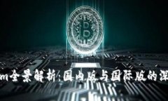 Tokenim全景解析：国内版与国际版的深度对比