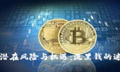 虚拟币的潜在风险与机遇：洗黑钱的迷思与现实