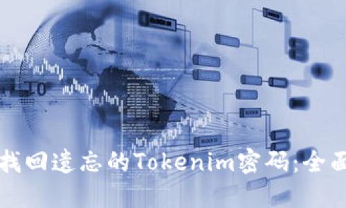 如何找回遗忘的Tokenim密码：全面指南