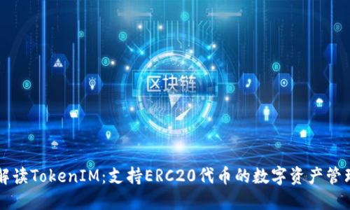 全面解读TokenIM：支持ERC20代币的数字资产管理平台