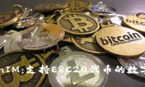 全面解读TokenIM：支持ERC20代币的数字资产管理平台