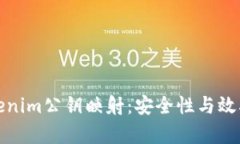 深入解析Tokenim公钥映射：安全性与效率的完美结