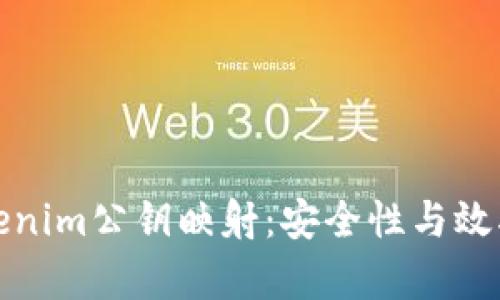 深入解析Tokenim公钥映射：安全性与效率的完美结合