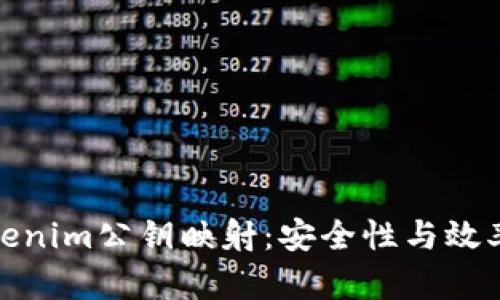 深入解析Tokenim公钥映射：安全性与效率的完美结合