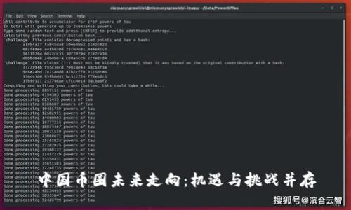中国币圈未来走向：机遇与挑战并存