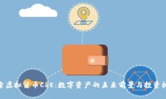 探索虚拟货币CRE：数字资产的未来前景与投资机