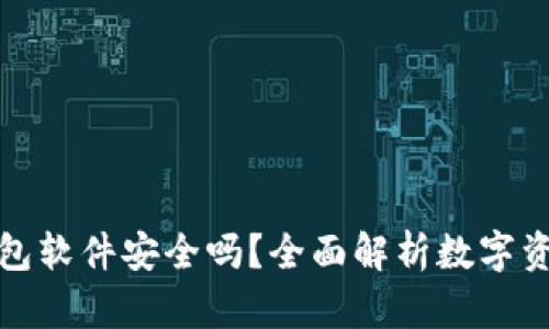 小狐狸钱包软件安全吗？全面解析数字资产安全性