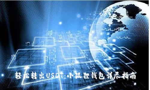 轻松转出USDT：小狐狸钱包详尽指南