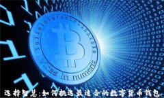 选择智慧：如何挑选最适合的数字货币钱包