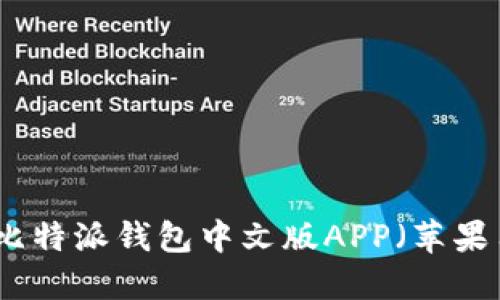 如何下载比特派钱包中文版APP（苹果用户指南）
