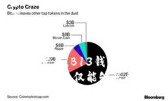 全面解读B13钱包APP：虚拟币交易的先锋平台//关键