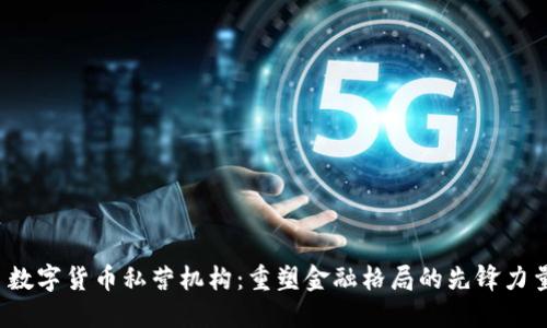  数字货币私营机构：重塑金融格局的先锋力量
