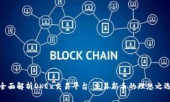 全面解析OKEx交易平台：交易新手的理想之选
