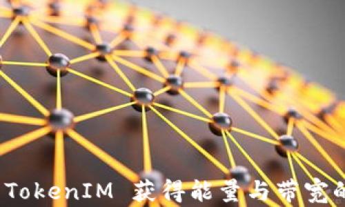 
如何通过 TokenIM 获得能量与带宽的最佳策略