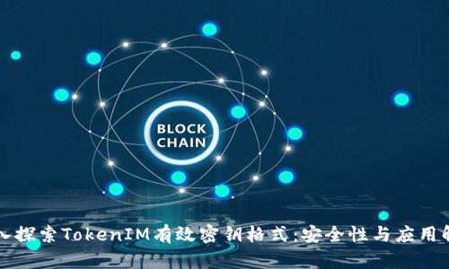 深入探索TokenIM有效密钥格式：安全性与应用解析