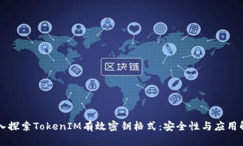 深入探索TokenIM有效密钥格式：安全性与应用解析