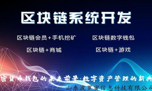 加密货币钱包的未来前景：数字资产管理的新典范