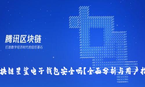 区块链星鲨电子钱包安全吗？全面分析与用户指南