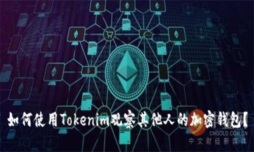 如何使用Tokenim观察其他人的加密钱包？