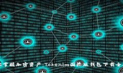 轻松掌握加密资产：Tokenim国际版钱包下载全指南