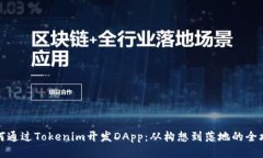 如何通过Tokenim开发DApp：从构想到落地的全攻略