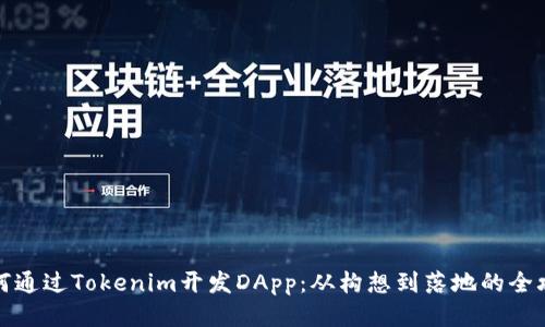 如何通过Tokenim开发DApp：从构想到落地的全攻略