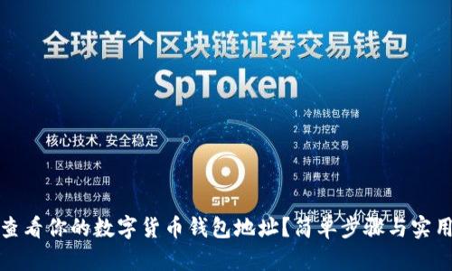 如何查看你的数字货币钱包地址？简单步骤与实用技巧