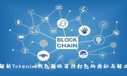 全面解析Tokenim钱包转账等待打包的奥秘与解决方案