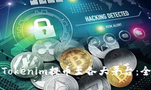 如何将Tokenim提币至各大平台：全面指南