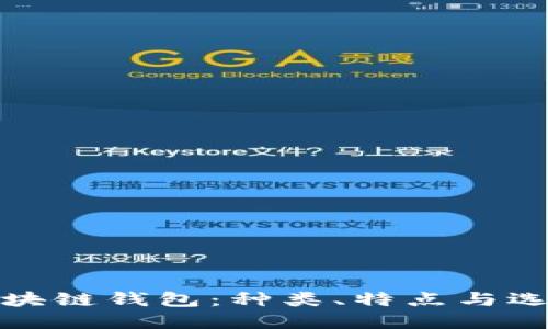 探秘区块链钱包：种类、特点与选择指南